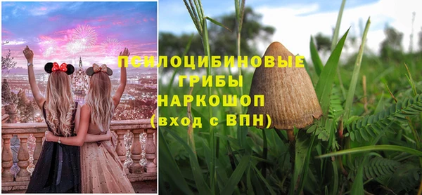 ешки Краснослободск
