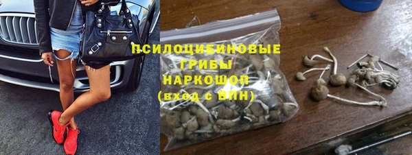 твердый Кукмор