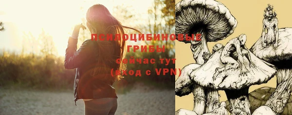 ALPHA PVP Кулебаки