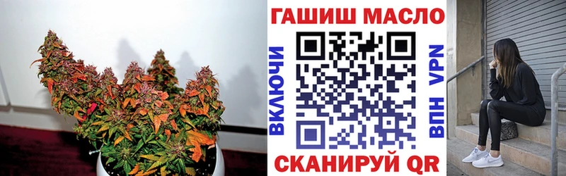 Купить где  Грязи  ТГК концентрат 